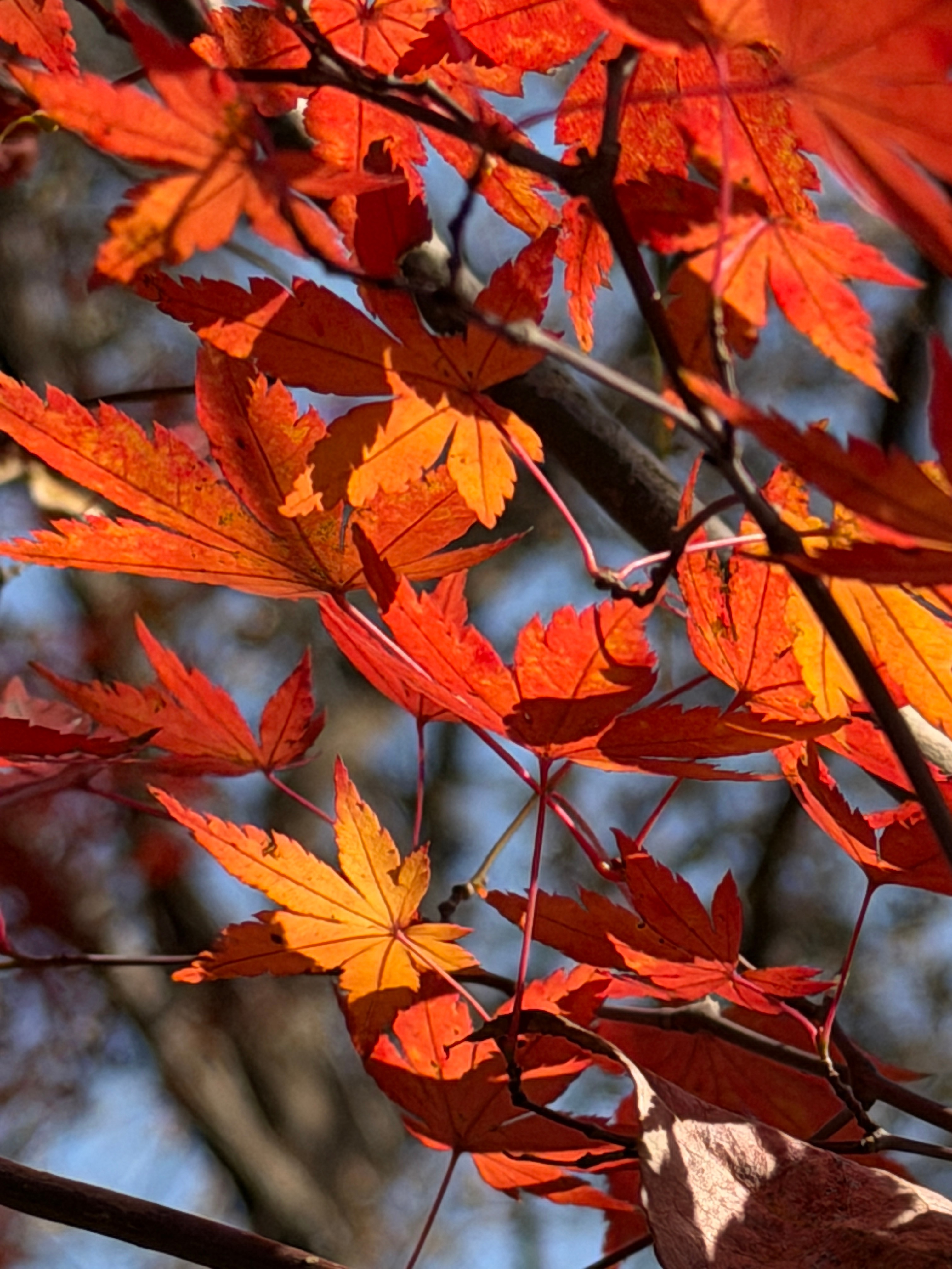 那个6000万的四合院豪宅和茅台道理是一样的，年轻人不喜欢了，就渐渐不值钱了，我