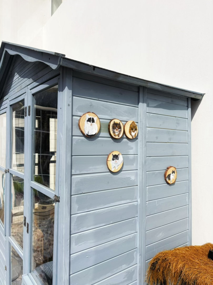 我的花园我的猫 隔壁大姐问我画的猫咪用在哪里，用在这里。这是他们的身份照。下周继