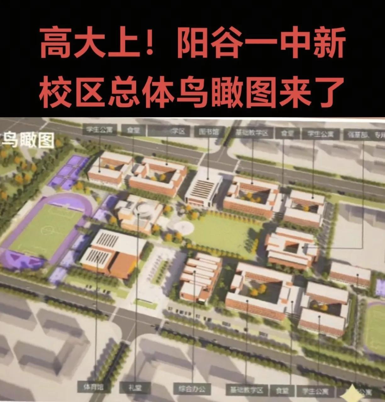 阳谷一中新校区总体鸟瞰图 新校区规划有综合楼、图书馆、教学楼、体育馆、礼堂、学生