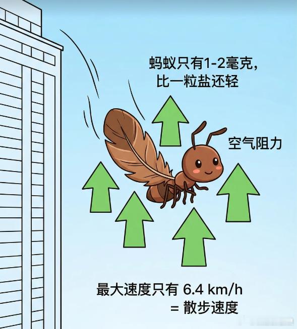 蚂蚁从10楼掉下来会摔死吗？答案：不会！蚂蚁几乎摔不死 不管从10楼还是100楼