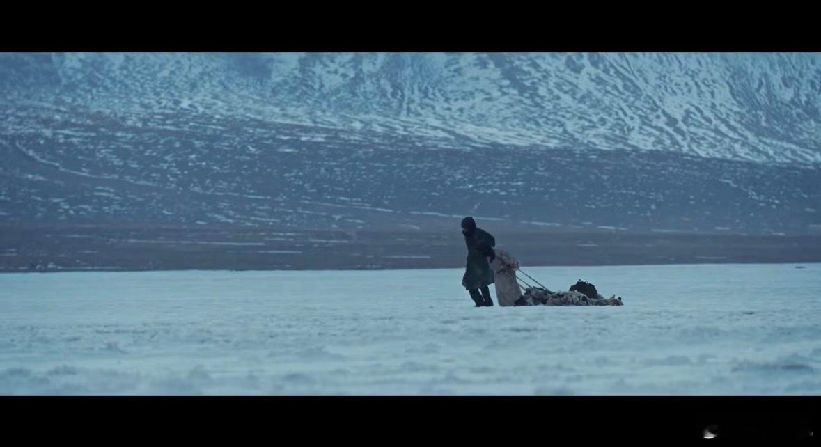 杨紫胡歌新剧重生之末世求生 多杰沉稳可靠，白菊坚韧勇敢🌿✨！两人一守一闯，在荒