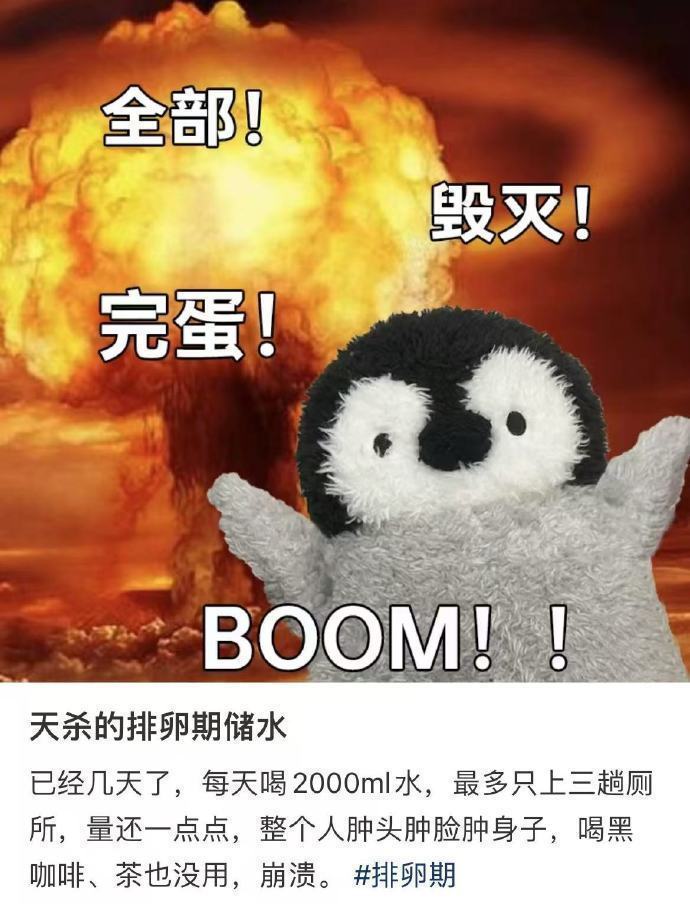 给排卵期姐妹见识一下只进不出的炸裂 