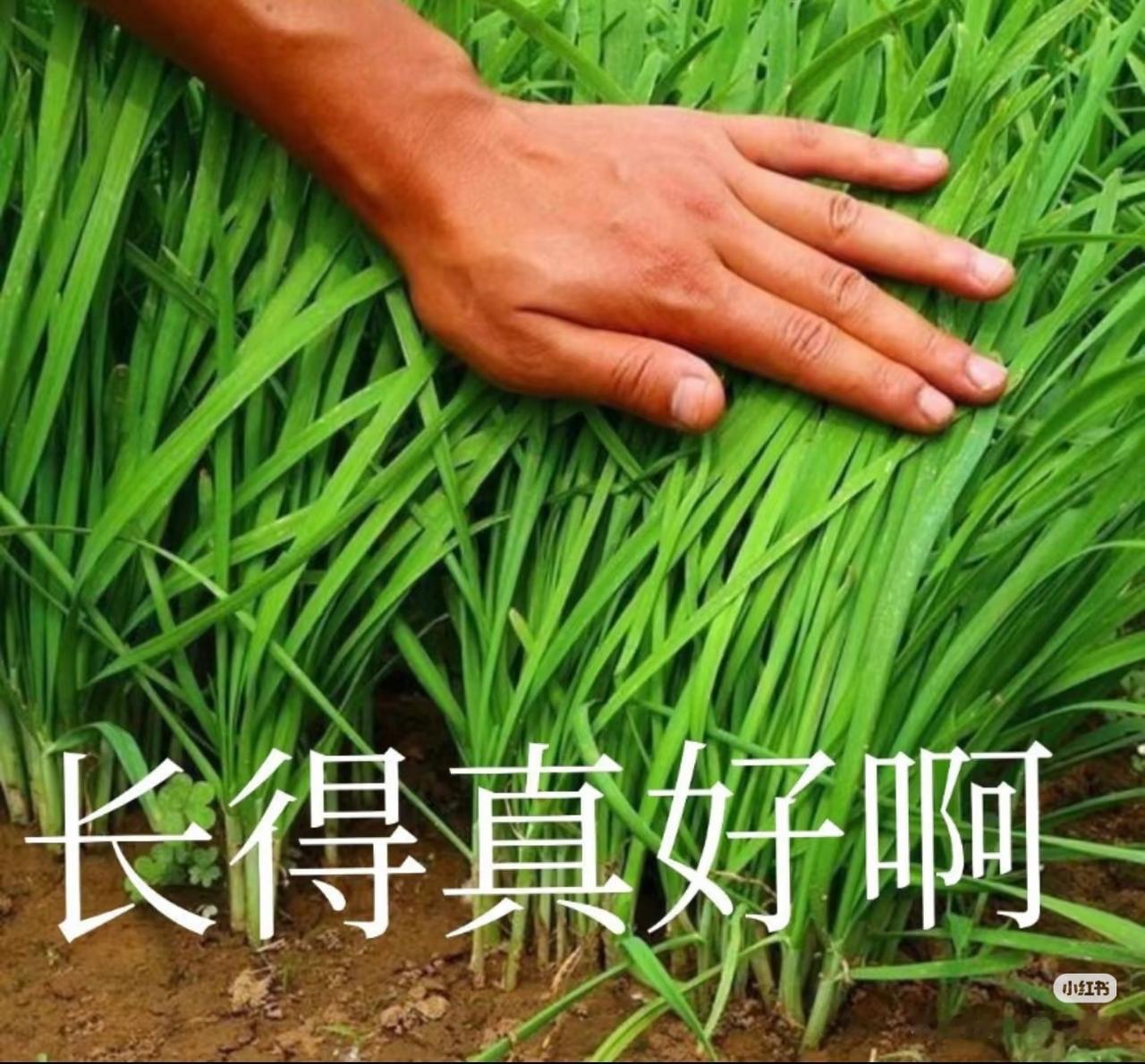 说实话，今天真是把我气笑了。

不是说亏不起那点钱，咱炒股这么多年，涨涨跌跌早看