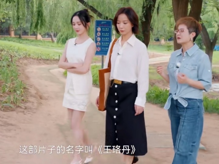 王珞丹的人生是公路片王珞丹想象中的人生如果是一部电影的话大概率是公路片，虽然不知