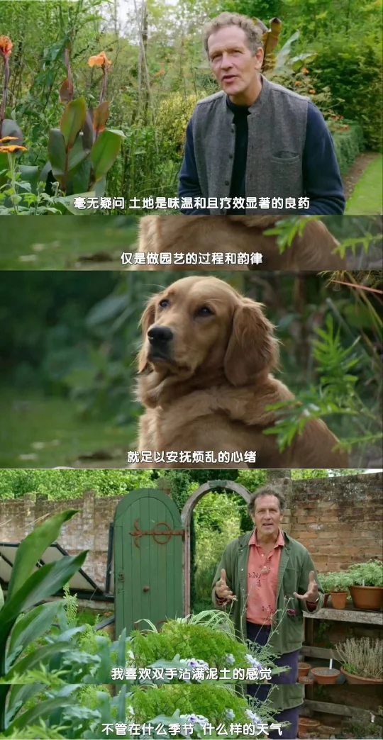 不为良相 即为良医