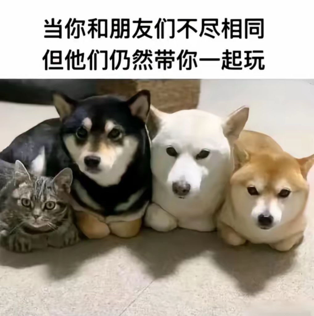 我和首页宝宝们 