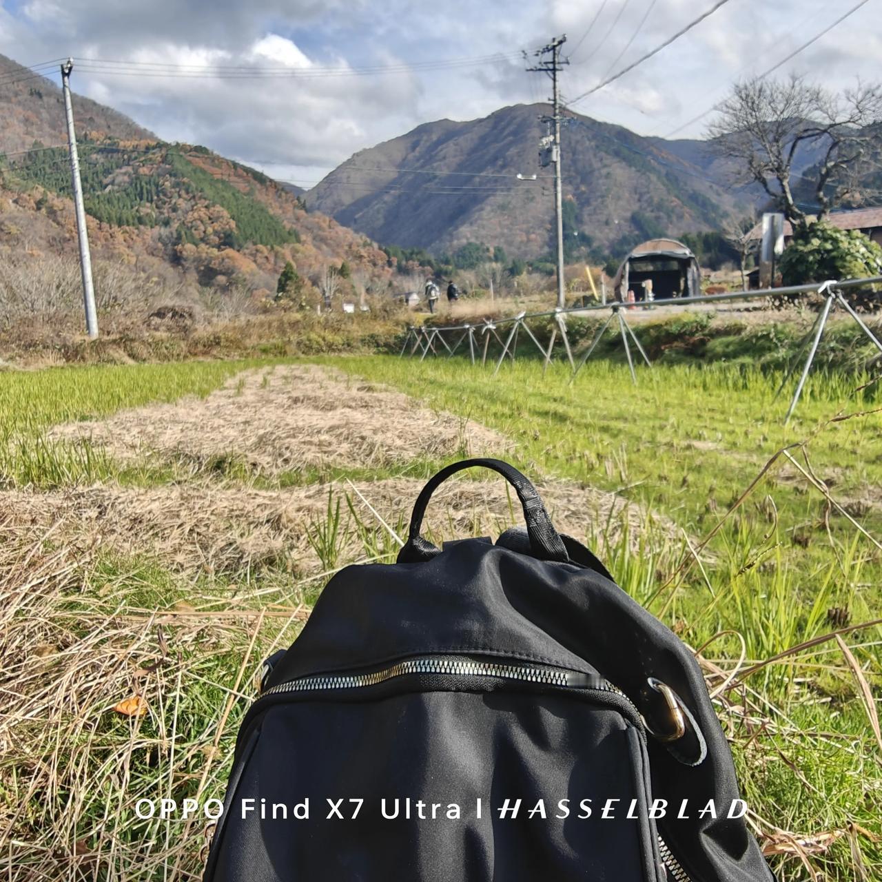 随拍，白川村。
山红涧碧纷烂漫，
时见松枥皆十围。
当流赤足踏涧石，
水声激激风