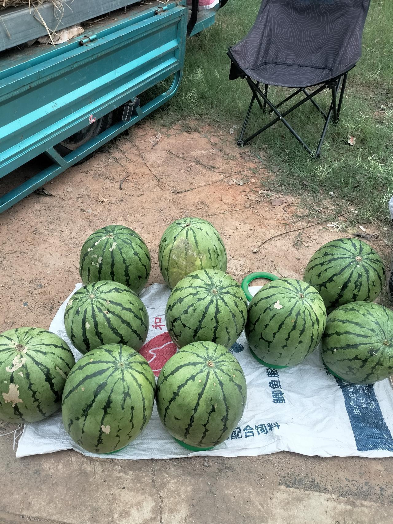今天有人摆地摊卖麒麟瓜，我问价格，他说车上的 1.5一斤，地上的1元，我说8毛钱