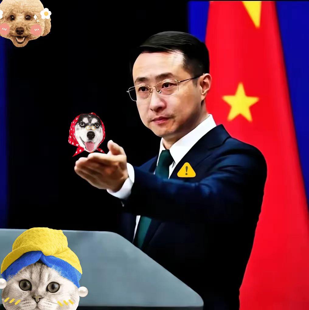 快报！
坚决反对现汇现物援助！
 
我是真没法认同这援助的操作！国家层面的考量咱