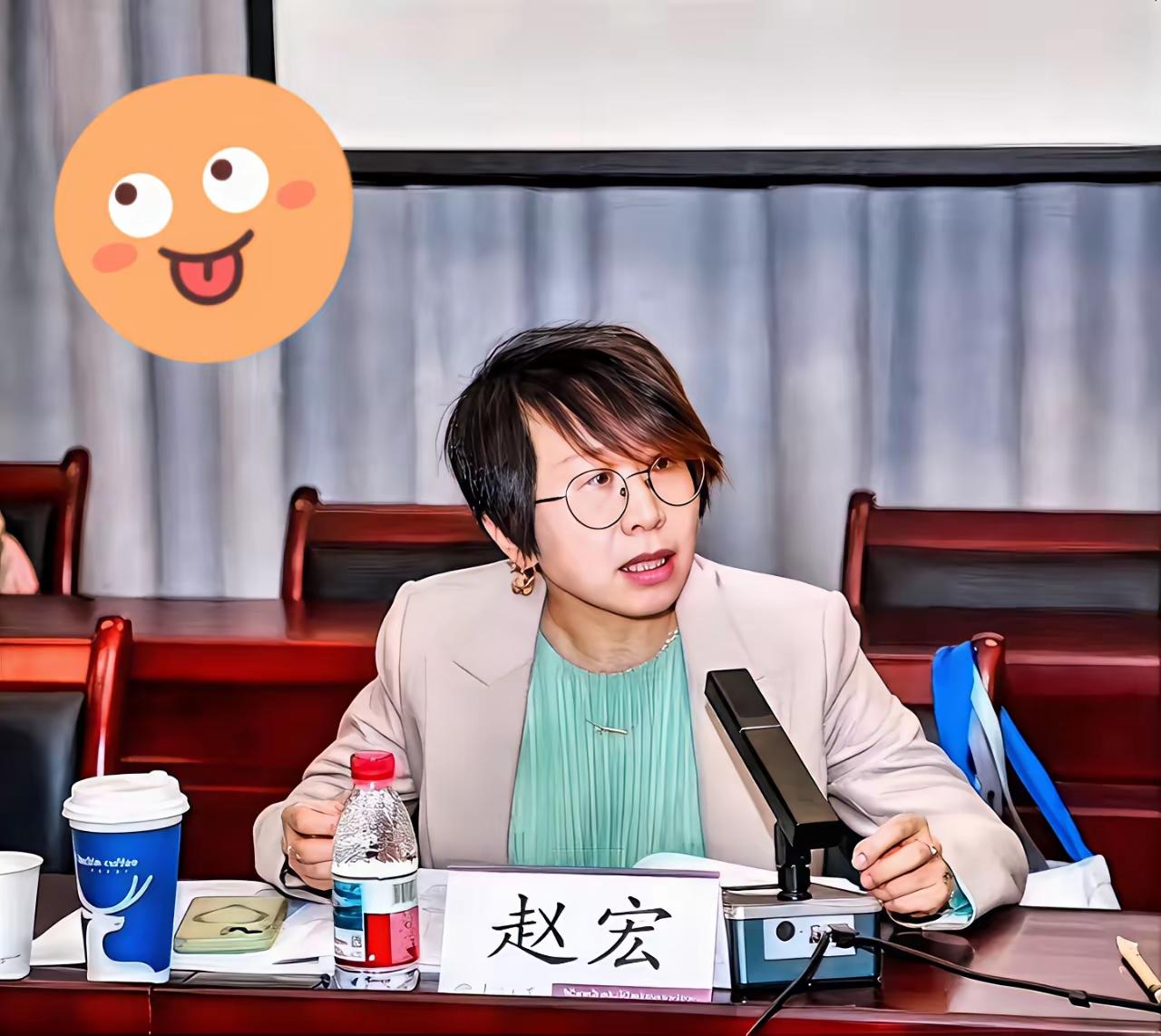 有人明知瑞典是出了名的反华，
还硬要跟他们搞所谓的“人权合作”，
这到底是学术交