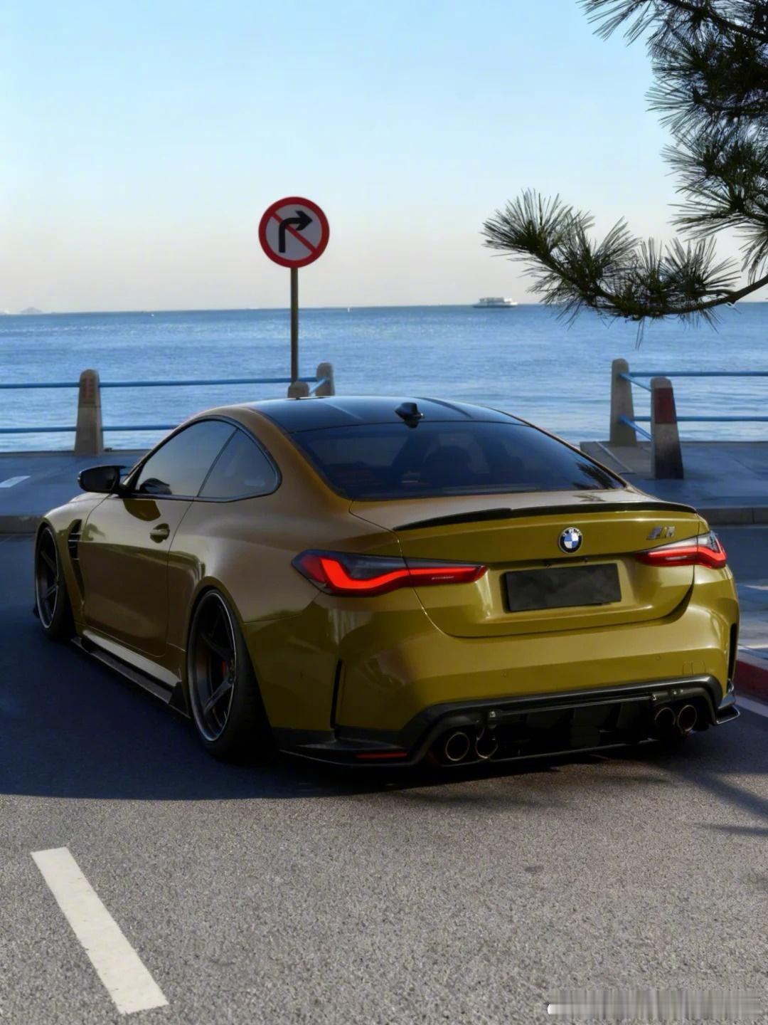 早上好，这个橄榄绿色小马很有sense