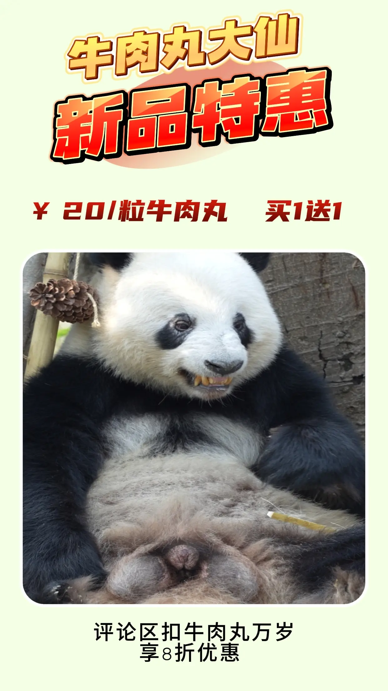 当我以文案的角度为星一做海报。