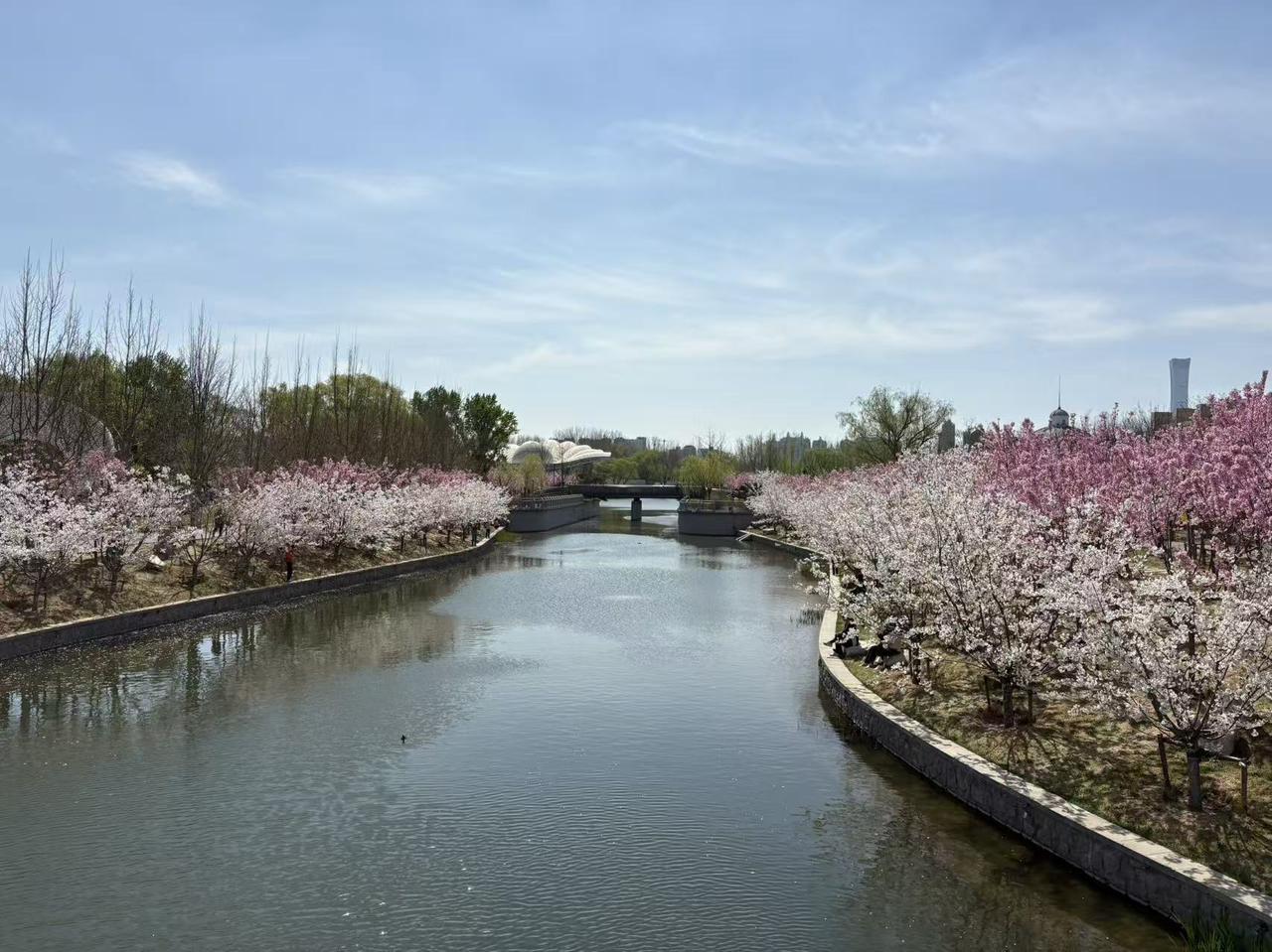 春日生活打卡季
