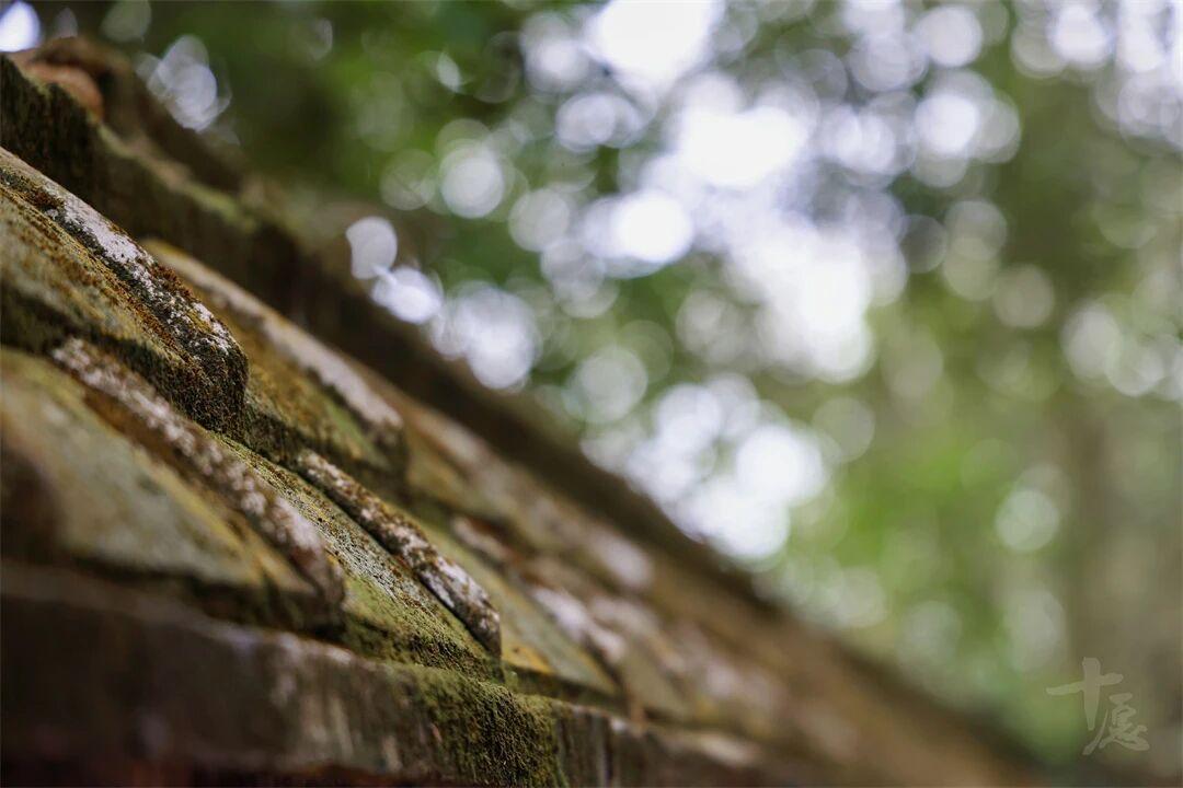 你目前的苦，不全是苦，是福。
不是大福之人，连受苦的资格都沒有。
没有经过苦难的