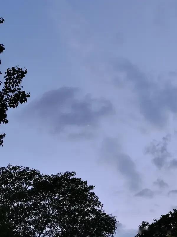 《满江红·秋》
暑气初收，秋声动、风惊片叶。抬望眼、暮云天际，雁行清绝。丹桂幽芬