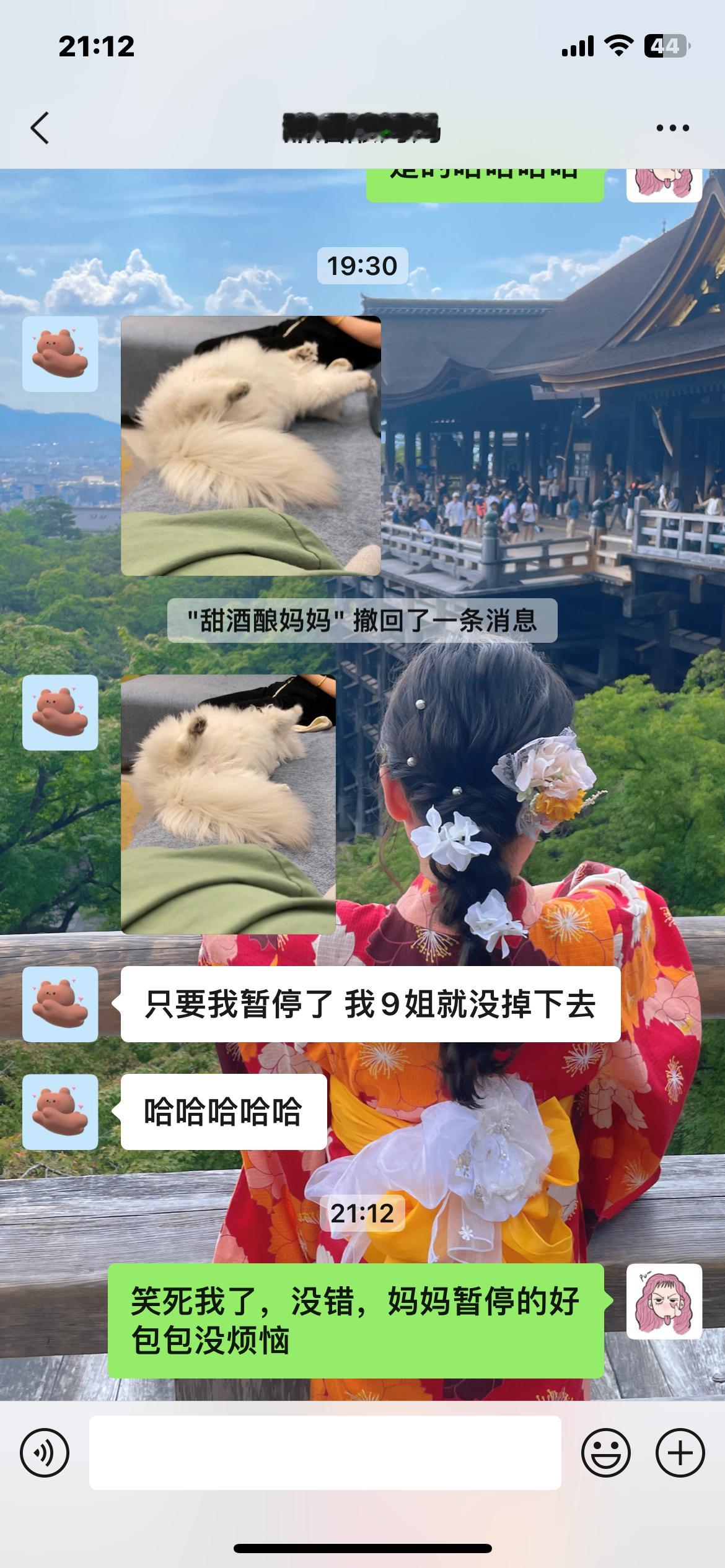 看看可爱的甜酒我的猫真的！！颜值都很能打！！！#银点##辣椒家新家回访##英国长