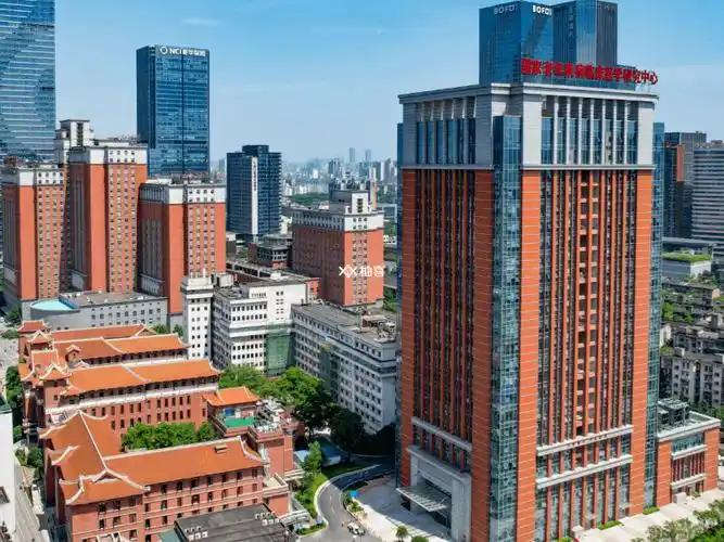 大家都以为她前途无量，谁知她却决绝地跳进了冰冷的湘江。一个即将拿到医学硕士学位的