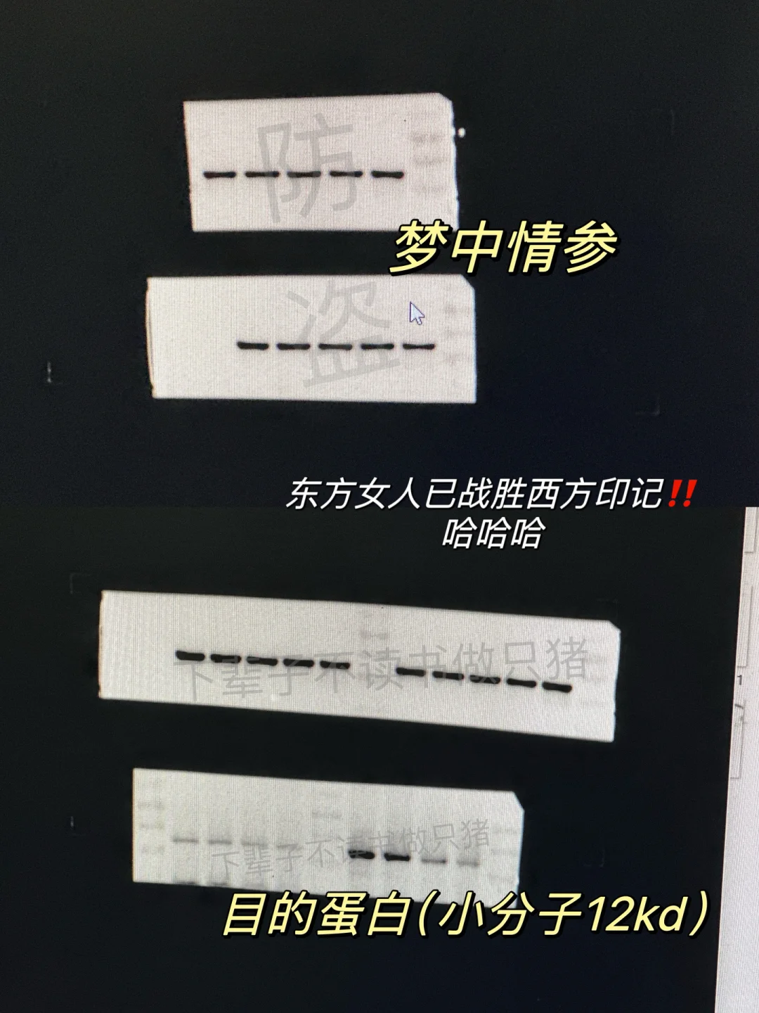 ☺️今日份报恩条带，好喜欢！