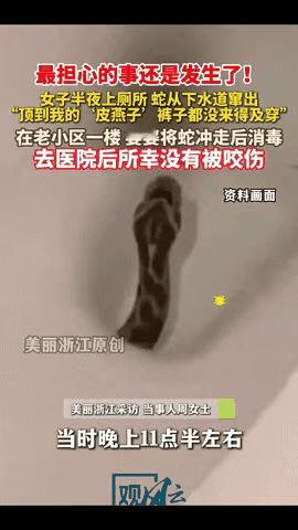 幸亏跑得快！江苏，一女子半夜上厕所，突然感觉下面有东西伸出来，顶到了皮燕子，女子