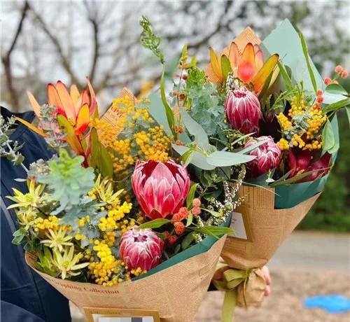 澳大利亚遭遇杀猪盘后应该做，记录三
当你在澳大利亚，遇到了杀猪盘，该怎么办？复盘