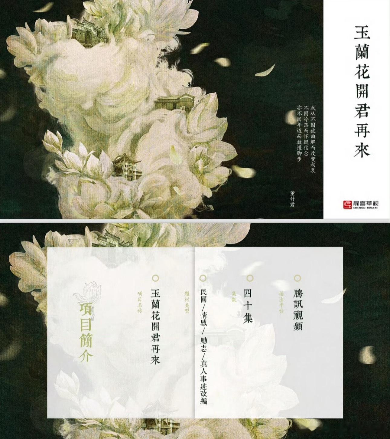 🍉🐧《玉兰花开君再来》项目亮点，女主暂定杨紫 ​​​