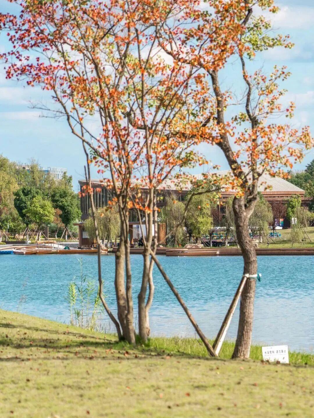 【日子，过的是心情；生活，要的是感恩。心态好，没过不去的砍；心情好，就拥有了生活