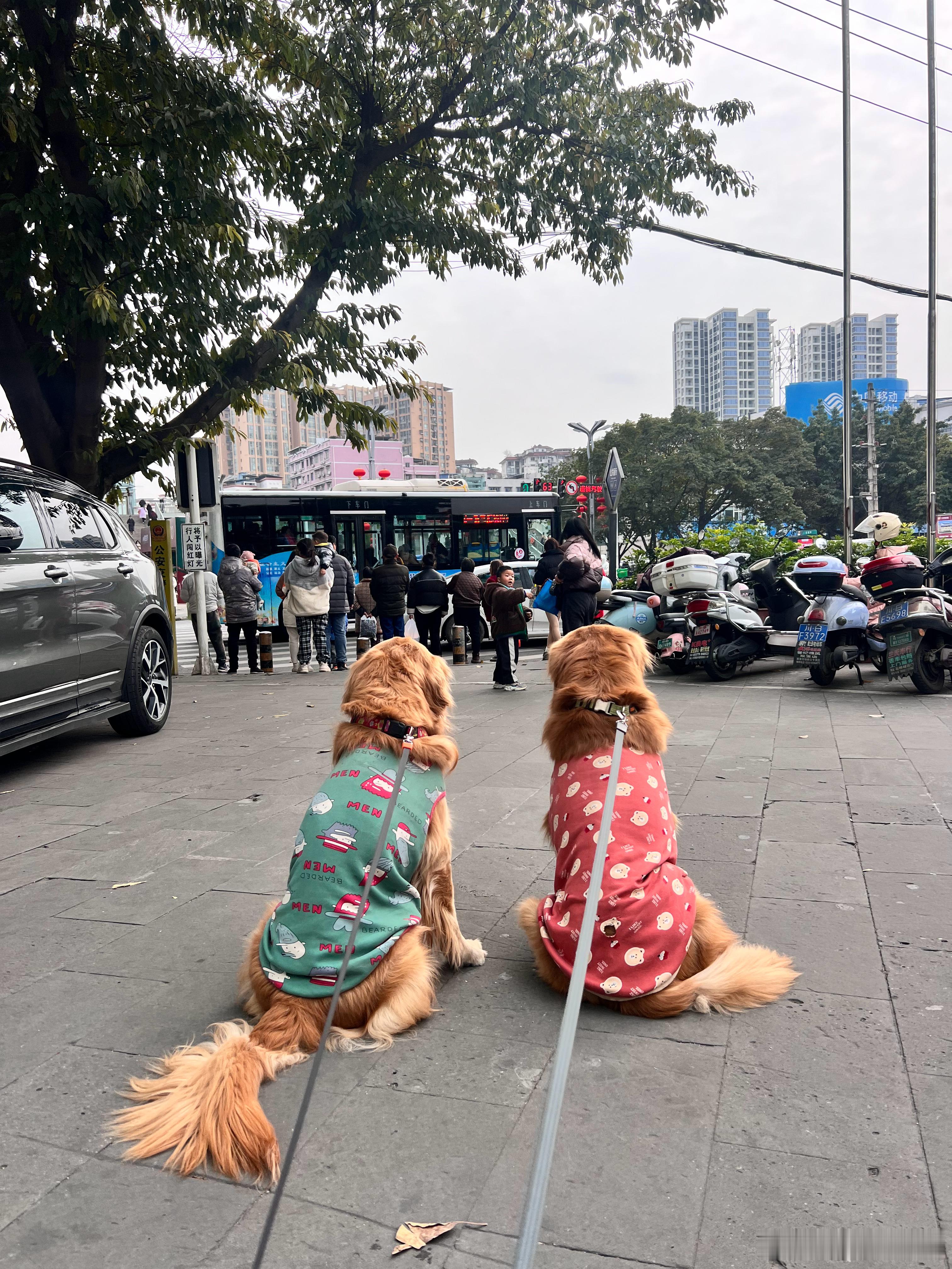 我总觉得杨小皮带走了我的情感，以至于他走了以后我很快就变得情感匮乏，言语贫瘠。每