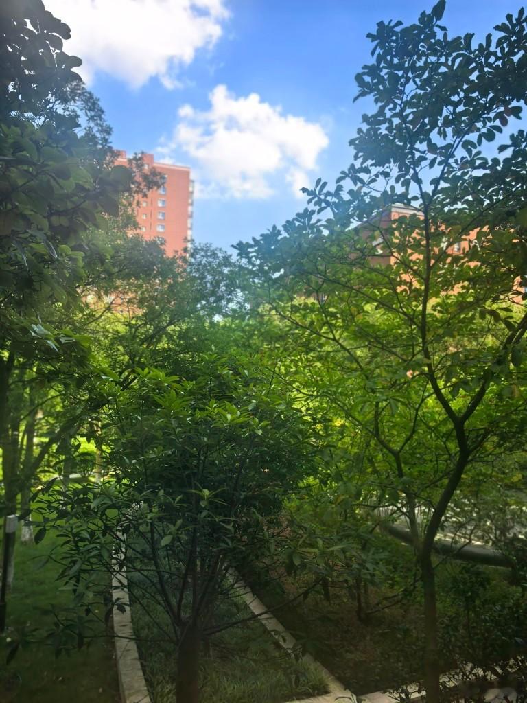 追求收入增加属于“人同此心心同此理”，由人性决定取向一致；而收入形成之后的分配，
