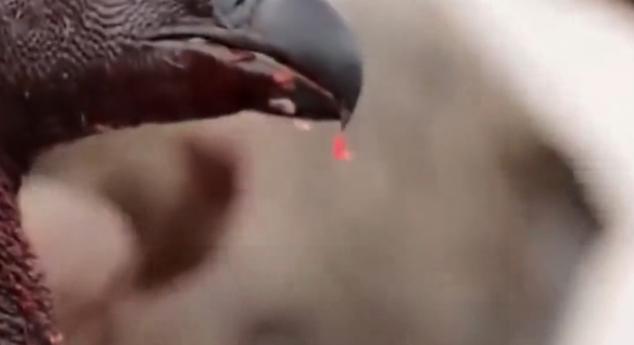 近日看到一件令人揪心的悲剧，看完心里直发怵。一位55岁的大姐，平日里闲不住、耐不