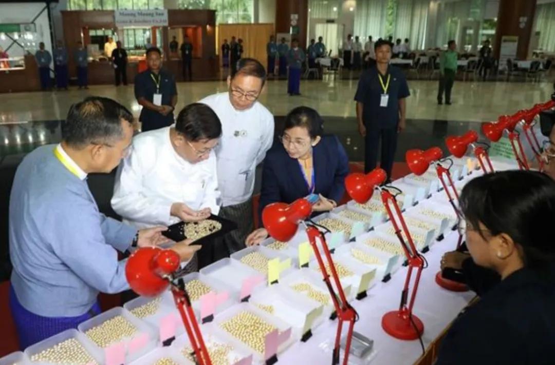 缅媒报道，8月12日，第142届缅甸南部海域珍珠展销会在内比都开始举办。
此次缅