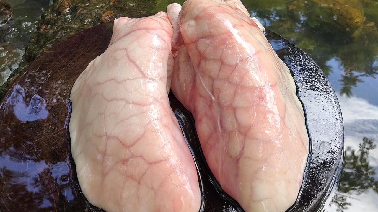 猪身上4个部位，医生建议要少吃，猪肺排第三，第二很多人都爱吃

“我从来没想过猪