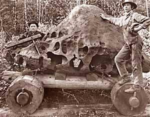 美国最大的陨石在俄勒冈州西林恩发现。 1902年,邻近的业主发现了巨大的16吨重