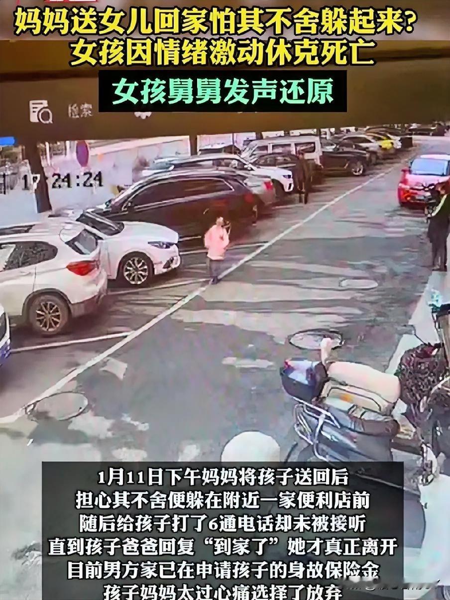 分离之殇：九岁女孩的永别，教会我们好好说再见！

九岁女孩与母亲短暂相聚后，一场