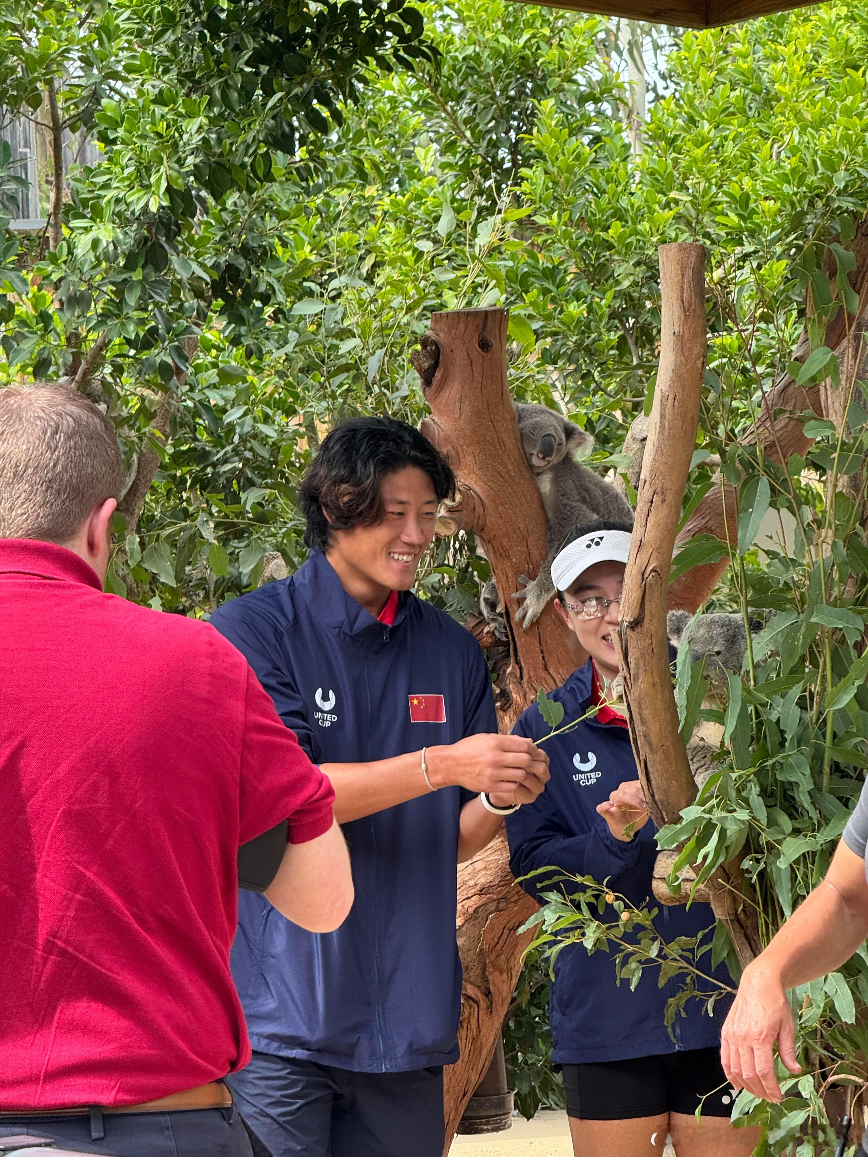 张之臻，朱琳悉尼动物园游览张之臻和朱琳来悉尼动物园游览，为联合杯宣传，2026联