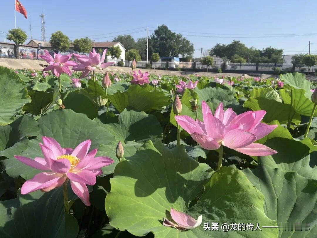 冬日生活打卡季