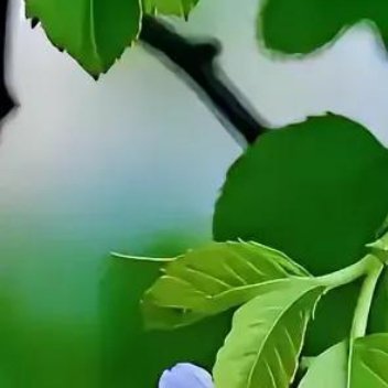 正能量在人世间行走，不必急急匆匆、忙忙碌碌，别把生活过得紧绷绷，别把日子过得苦哈