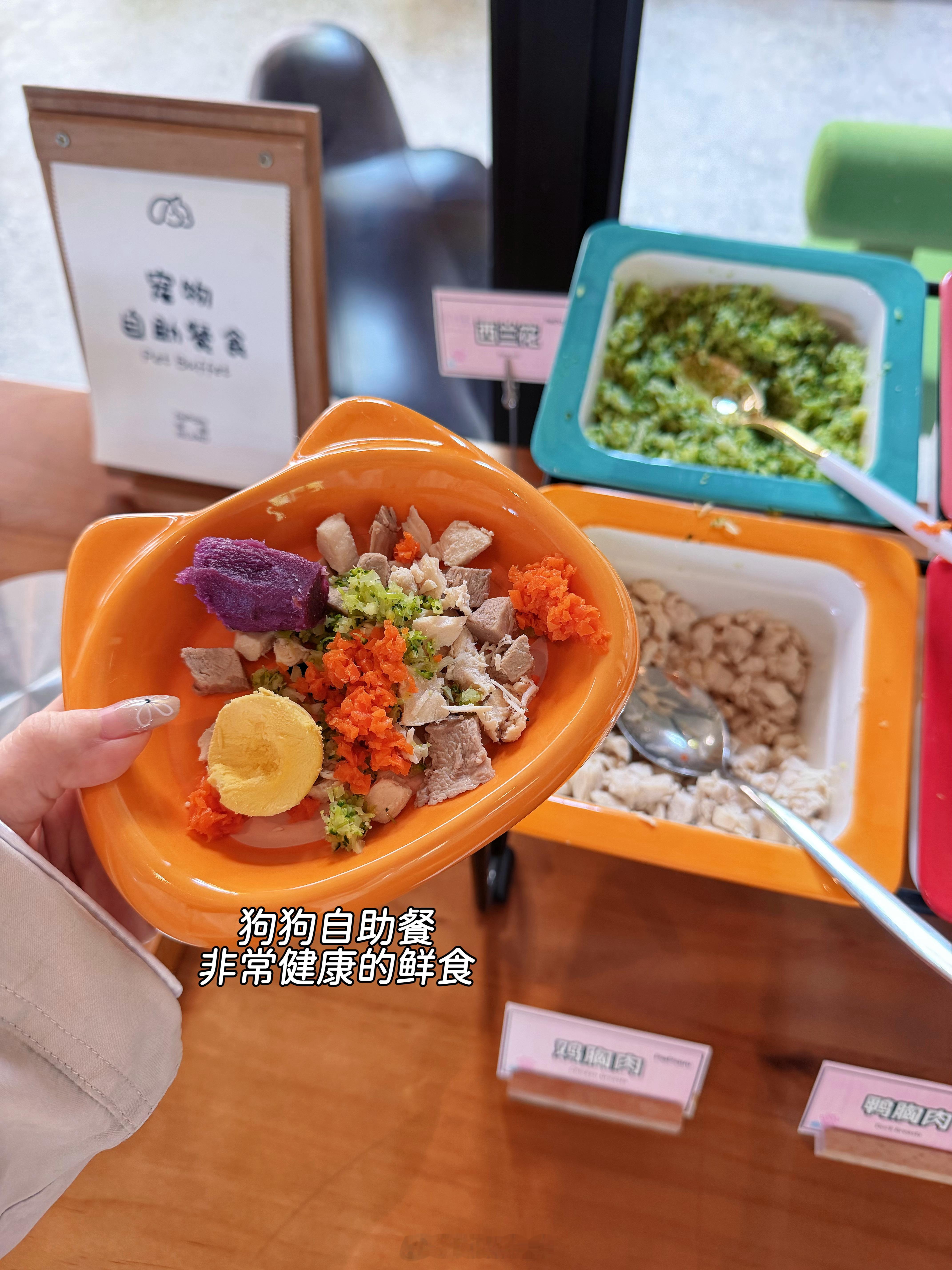 🫄38w啦！每天都在期待卸货状态！周末带毛孩子住宠物酒店有了宝宝更要关注原住民