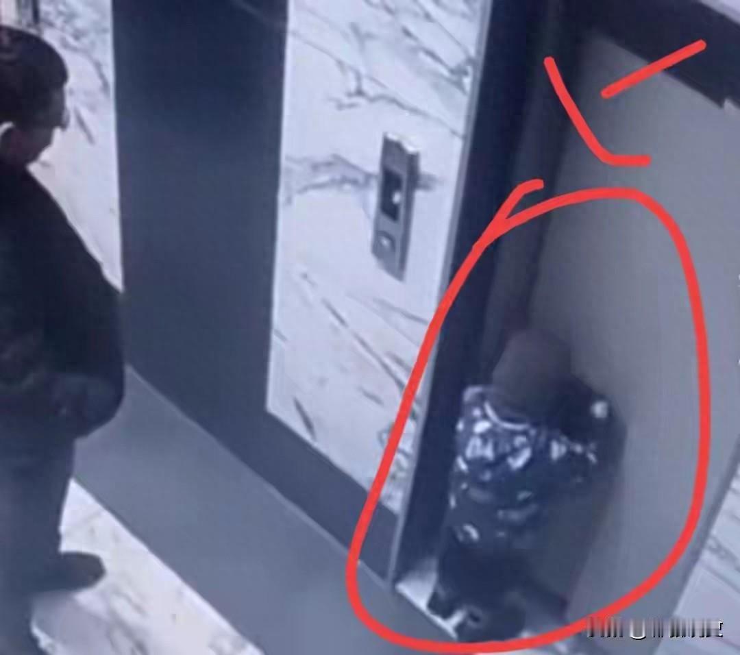 3岁男童坠入电梯井，父亲毫不犹豫纵身跳下营救。[听歌]

近日在俄罗斯沃罗涅日市