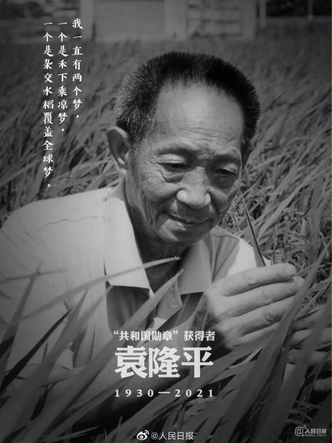 袁爷爷｜愿天堂没有痛苦