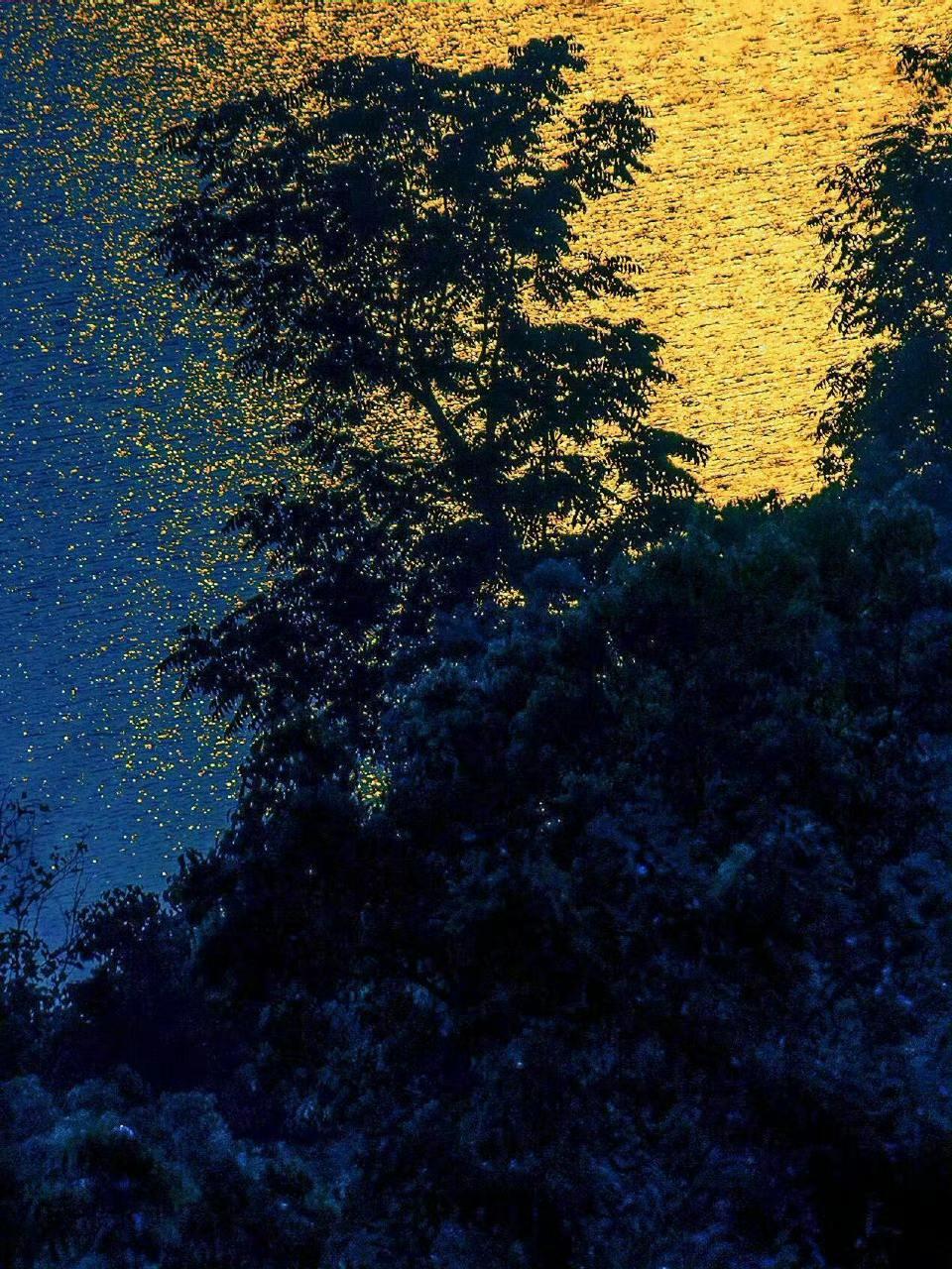 🌙月光把湖面熨成银绸，钓竿是孤独的标点符号。人在岸边，心早随波纹游进了夜色深处