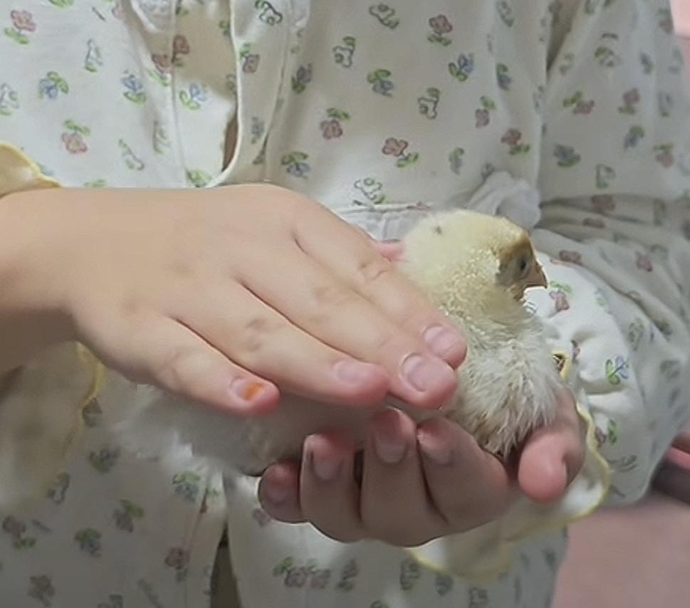 比偷孩子存钱罐里的钱买镯子更丧心病狂的宝妈来了！
在今年9月4日的时候，山东的两