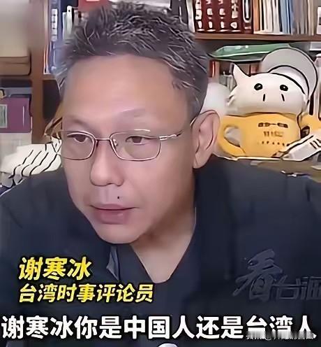 “青鸟”询问谢寒冰是中国人还是台湾人。谢寒冰顿时发怒，呛声道：“你有病啊，能不能