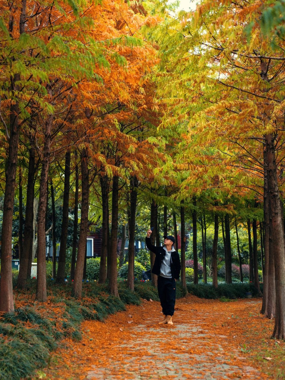 秋色正浓🍂不想工作就来南京这处世外桃源吧