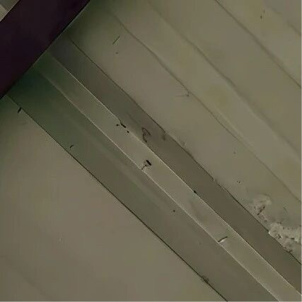 生活手记 要像太阳一样有起有落不失光彩 