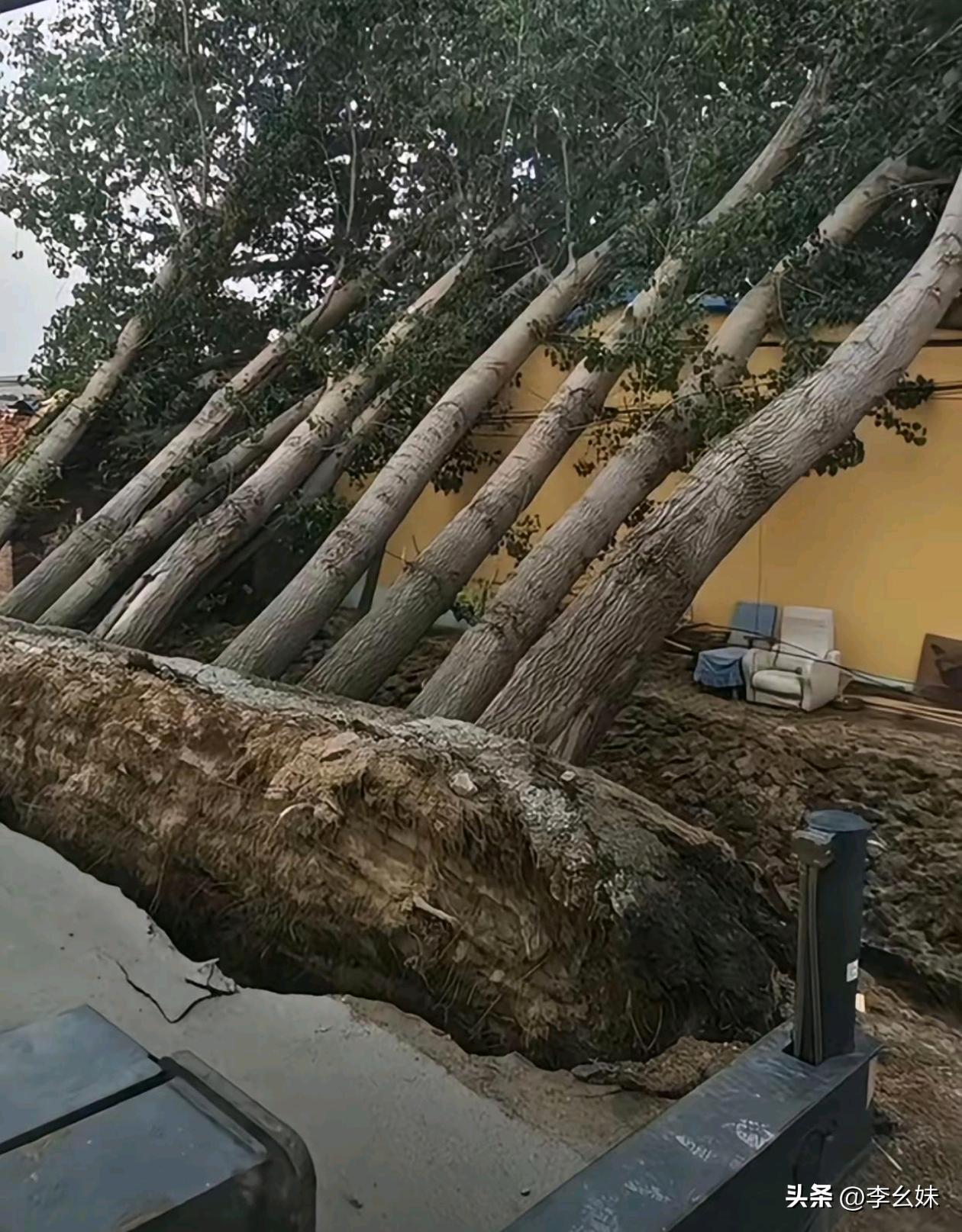 这种情况该找谁？