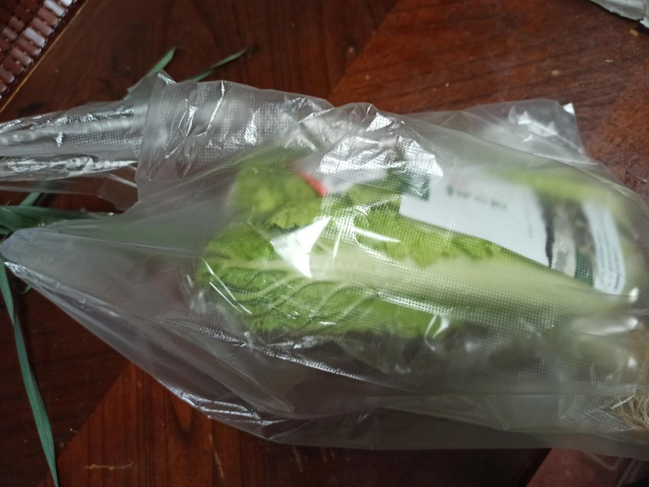 厂里招两名临时工，谁知道来了两个奇怪的人。

那一男一女进办公室的时候，我开始也