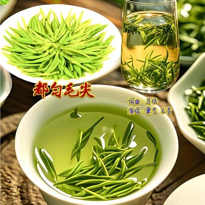歌曲《都匀毛尖》热门话题 都匀毛尖 抖音热歌推荐🔥