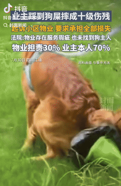 四川江油，一男子在小区里走路时不小心踩到狗屎滑倒，结果摔成了重伤，他认为是物业没