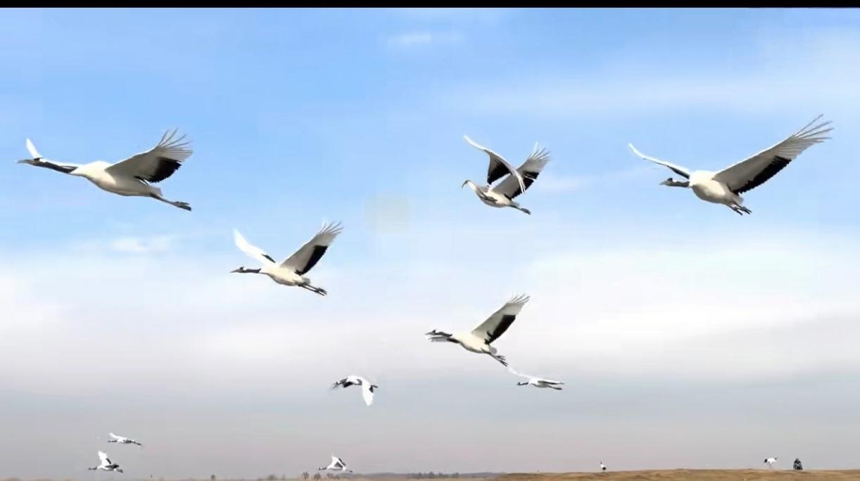 11月14日，无债一身轻松

房屋还贷时间过半，一直犹豫是否还清～

有时候想，