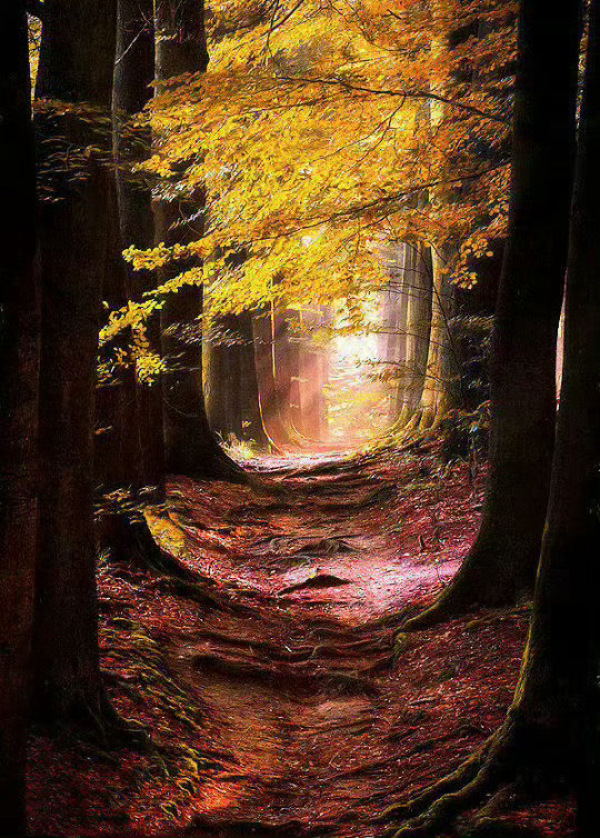 秋天，万物皆渐次抵达浓郁，最适合好好爱自己。—— 《半山文集》 ​​​秋分 ​​